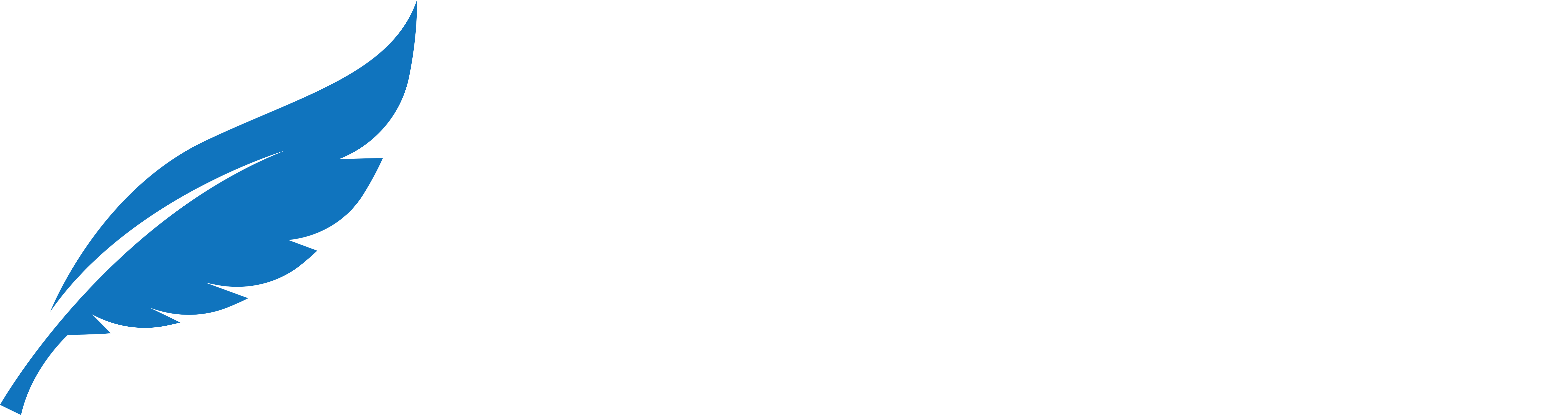 Sense Inteligência Financeira